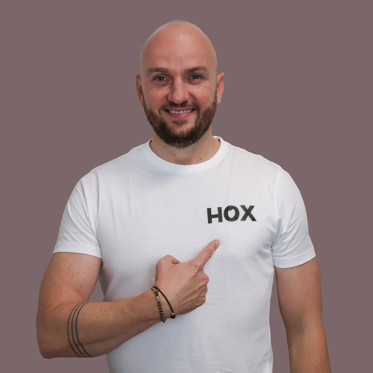 Kees Hox Transparant 2